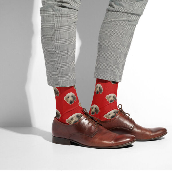 Personalised Dog Socks - Dog Face Photo