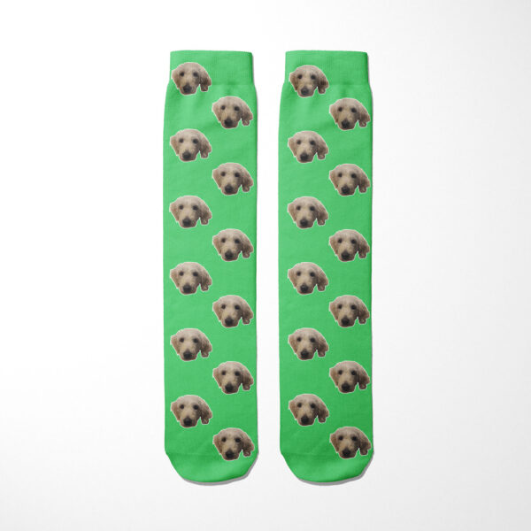 Personalised Dog Socks