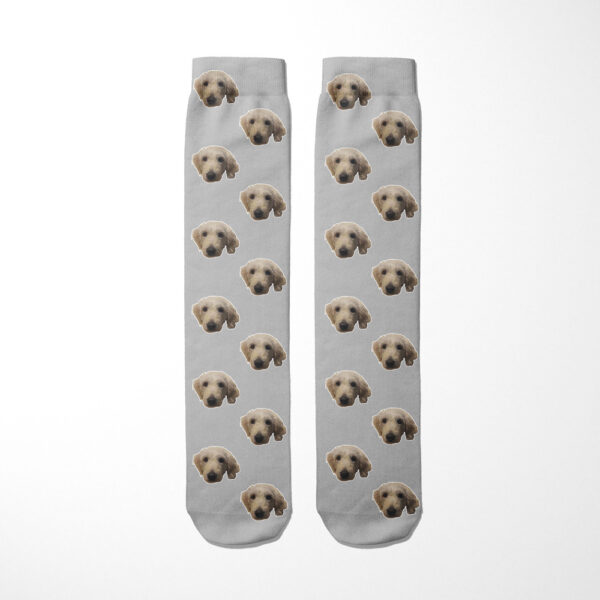 Personalised Dog Socks - Dog Face Photo