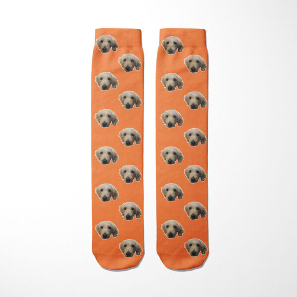 Personalised Dog Socks - Dog Face Photo