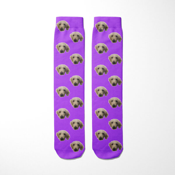 Personalised Dog Socks - Dog Face Photo