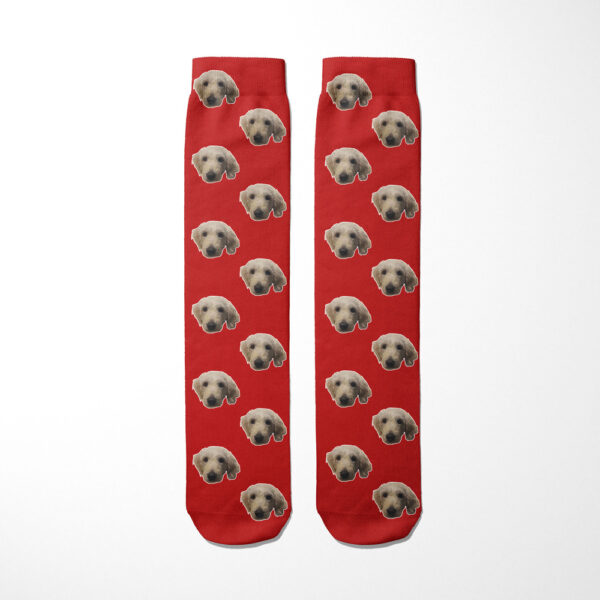 Personalised Dog Socks - Dog Face Photo