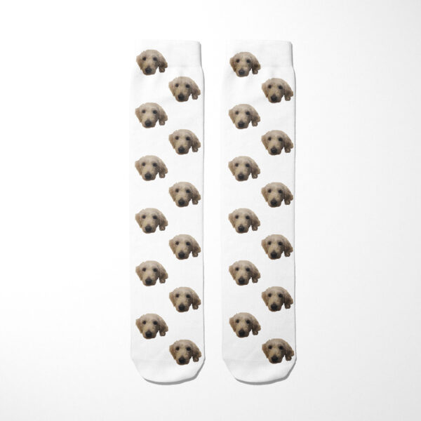 Personalised Dog Socks - Dog Face Photo