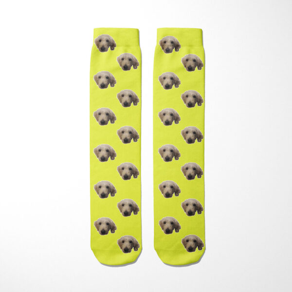 Personalised Dog Socks - Dog Face Photo