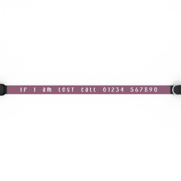 Personalised Pet Collar | Coloured | If I am lost call ... - Image 2