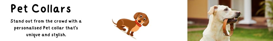 Personalised Pet Collars