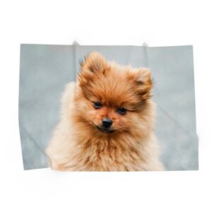 Personalised Photo Pet Blanket